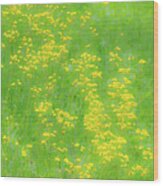 Yellow Flowers Green Grass Fx 503 Wood Print