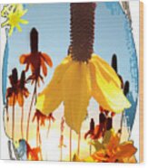 Yellow Mexican Hat Summer Flower Collage Wood Print