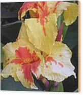 Yellow Orange Iris Wood Print