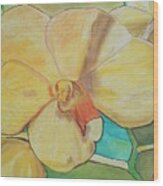Yellow Orchid Wood Print