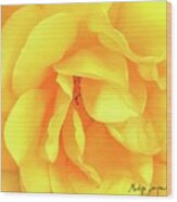 Yellow Rose Wood Print