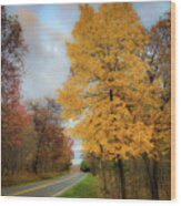 Yellow Tree, Rural Road Wood Print