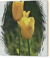 Yellow Tulips Digital Art Wood Print