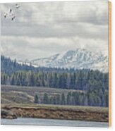 Yellowstone Flight Wood Print