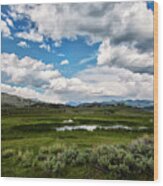 Yellowstone Valley Wood Print