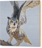 Your Time Will Come - Great Horned Owl Wood Print