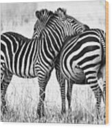 Zebra Love Wood Print