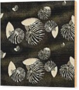 Zebra Pattern Nautilus Seashells Collection Wood Print