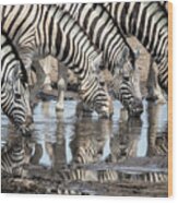 Zebras At Chudob Waterhole Wood Print