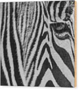 Zebra's Eye Wood Print