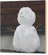 Zen Fence Sitting Mini Holiday Snowman Wood Print