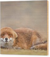 Zen Fox Series - Smiling Fox Is Smiling Wood Print