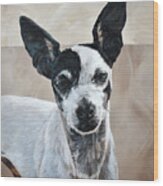 Zoe - Dog Pet Portrait Wood Print