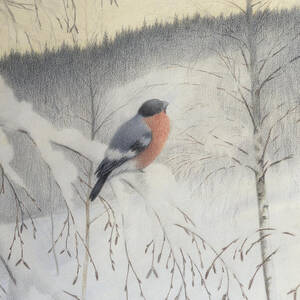 Bullfinch on frosty twig by Theodor Kittelsen