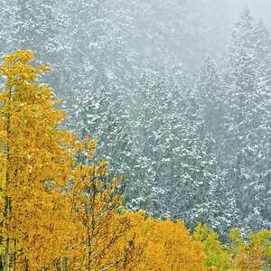 Canada, Alberta, Banff National Park #1 by Jaynes Gallery