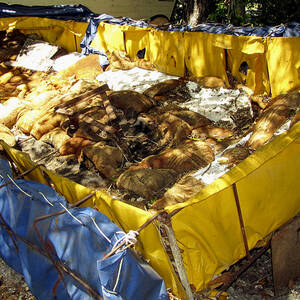 Cuban Refugee Boat 5 #1 by Bob Slitzan