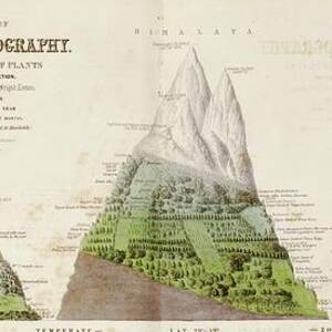 Global Botanical Geography #2 by Science Photo Library