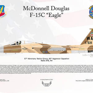 F-15C 65th Aggressor Flanker - Wall Pilot