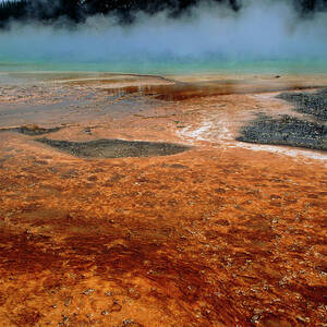 Mineral Deposits At Edge Of Thermal Pool #1 by Science Photo Library