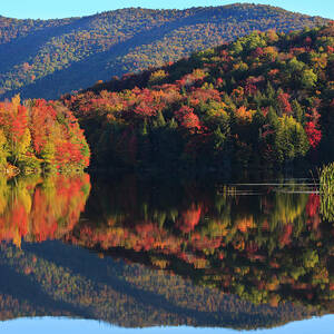 Scenery Of Kent Pond Lake And Forest #1 by Carl D. Walsh