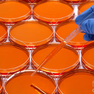 Scientific Experiment in Science Research Lab #1 by Olivier Le Queinec