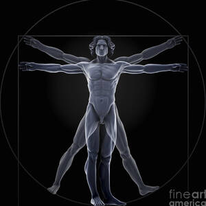 Vitruvian Man #10 by Science Picture Co
