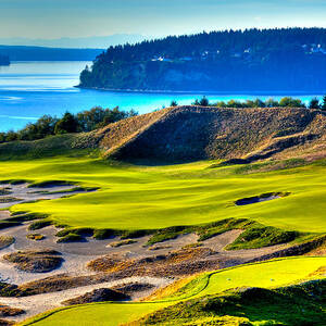 #14 at Chambers Bay Golf Course - Location of the 2015 U.S. Open Tournament #14 by David Patterson
