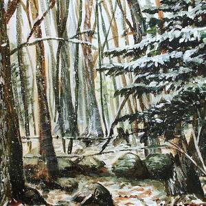 First Snow #2 by Shana Rowe Jackson