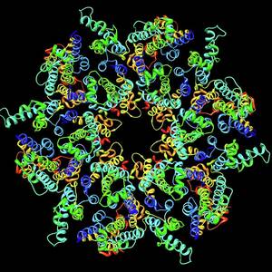 Hiv-1 Capsid In Intact Virus Particle #2 by Science Photo Library