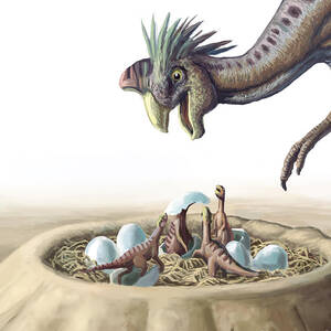 Oviraptor And Nest #2 by Spencer Sutton