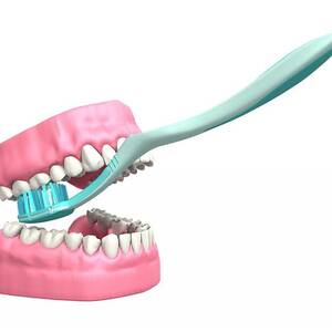 Tooth Brushing Technique #2 by Science Photo Library