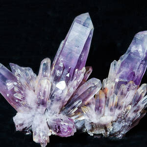 Amethyst Crystals #3 by Millard H. Sharp