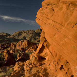 Aztec Sandstone, Lake Mead #3 by Mark Newman