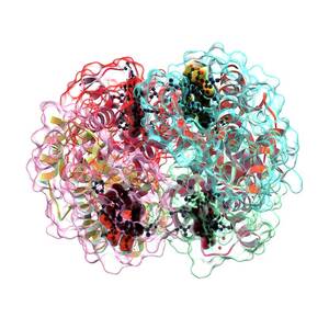 Haemoglobin Molecule #3 by Science Photo Library