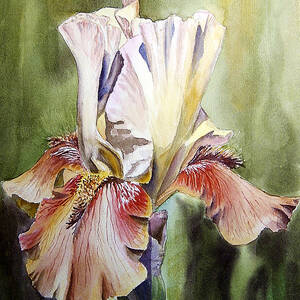 Iris Flower Dancing Petals Painting by Irina Sztukowski - Fine Art America