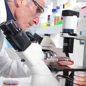 Microbiology Lab #3 by Science Photo Library