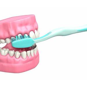 Tooth Brushing Technique #3 by Science Photo Library