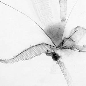 Untitled #78 by Chris N Rohrbach