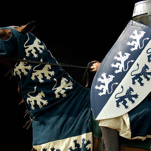 Reenactment Of The Great Battles #4 by Aaron Ansarov