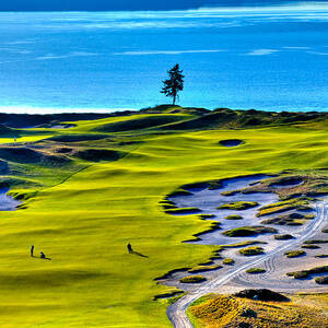 #5 at Chambers Bay Golf Course - Location of the 2015 U.S. Open Tournament #5 by David Patterson