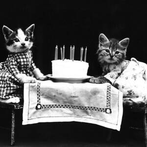 Frees Kittens, C1914 #7 by Granger