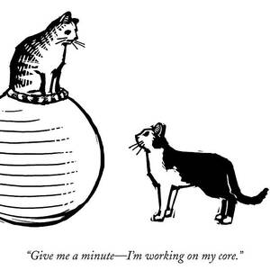 A Cat Stands On A Large Exercise Ball by Drew Dernavich