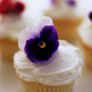 A Cupcake With A Violet On Top by Romulo Yanes