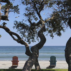 A Day at the Beach by Mike McGlothlen