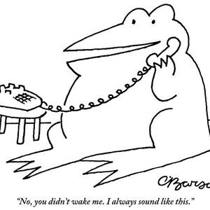 A Frog Answers The Telephone by Charles Barsotti
