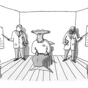 A Hammerhead Shark Gets His Eyesight Check By Two by Zachary Kanin