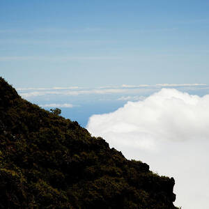 A Hiker Enjoys The View by Elyse Butler