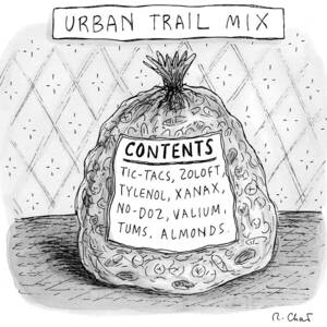 Urban Trail Mix by Roz Chast