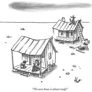 A Man On Top Of A Shack With A Ladder by Frank Cotham