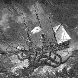 A Mythical Kraken Attacking A Sailing by Mary Evans Picture Library